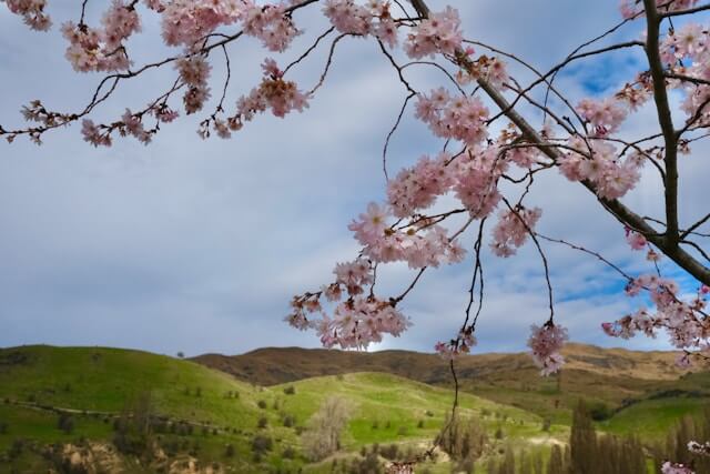 Insider Tipps La Palma