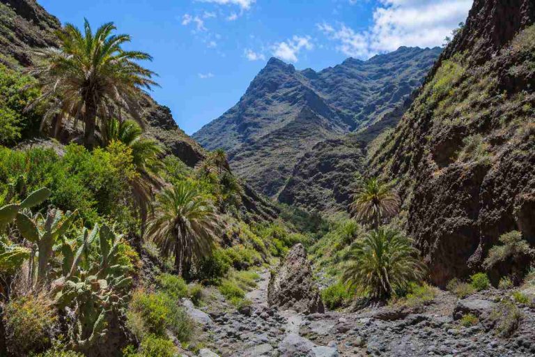 Santa Cruz verbessert Sicherheit am Barranco de Tahodio